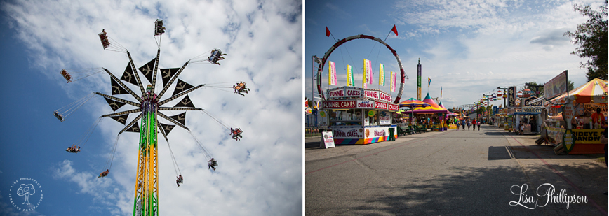 state fair picture ferris